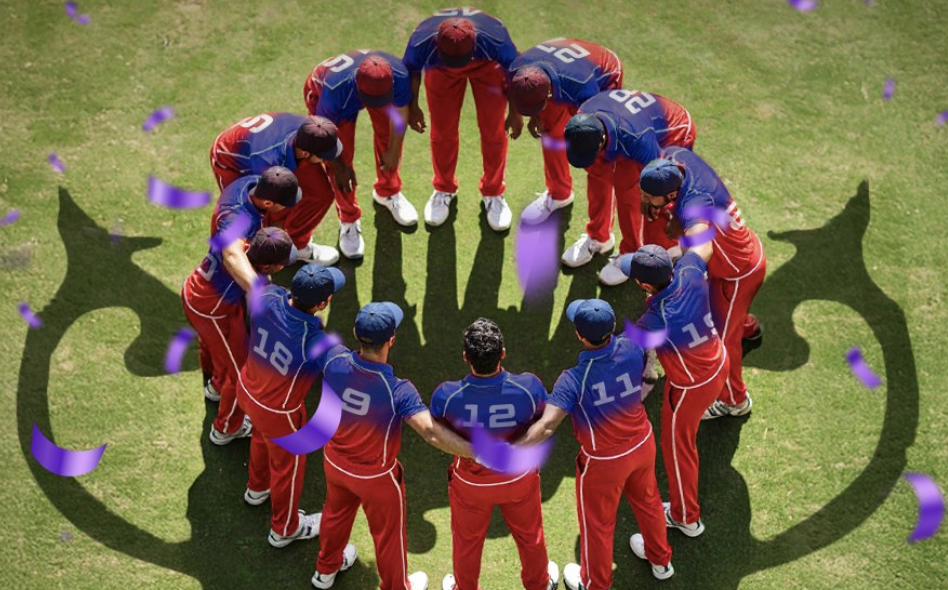  E-Cricket Game screenshot 3